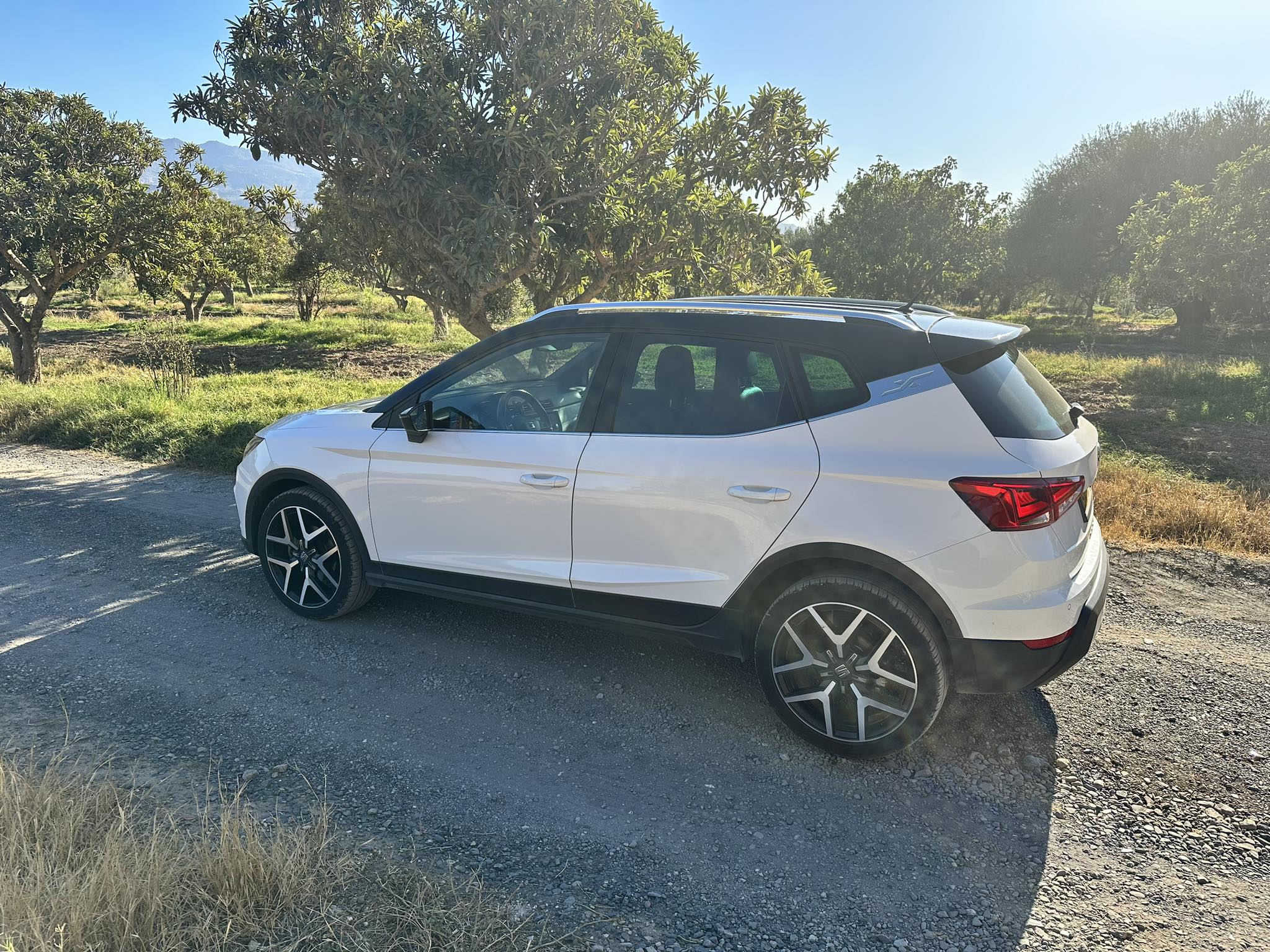 ads